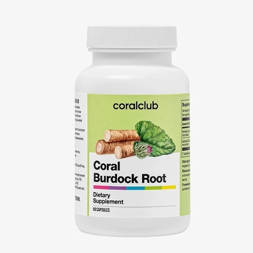 Coral-Burdock-Root-1